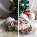 Mr.Pokee Winter Holiday Lightroom Presets for Christmas photos (4378066518125)