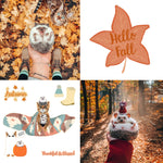 Mr.Pokee Presets “The Ultimate Fall Collection”
